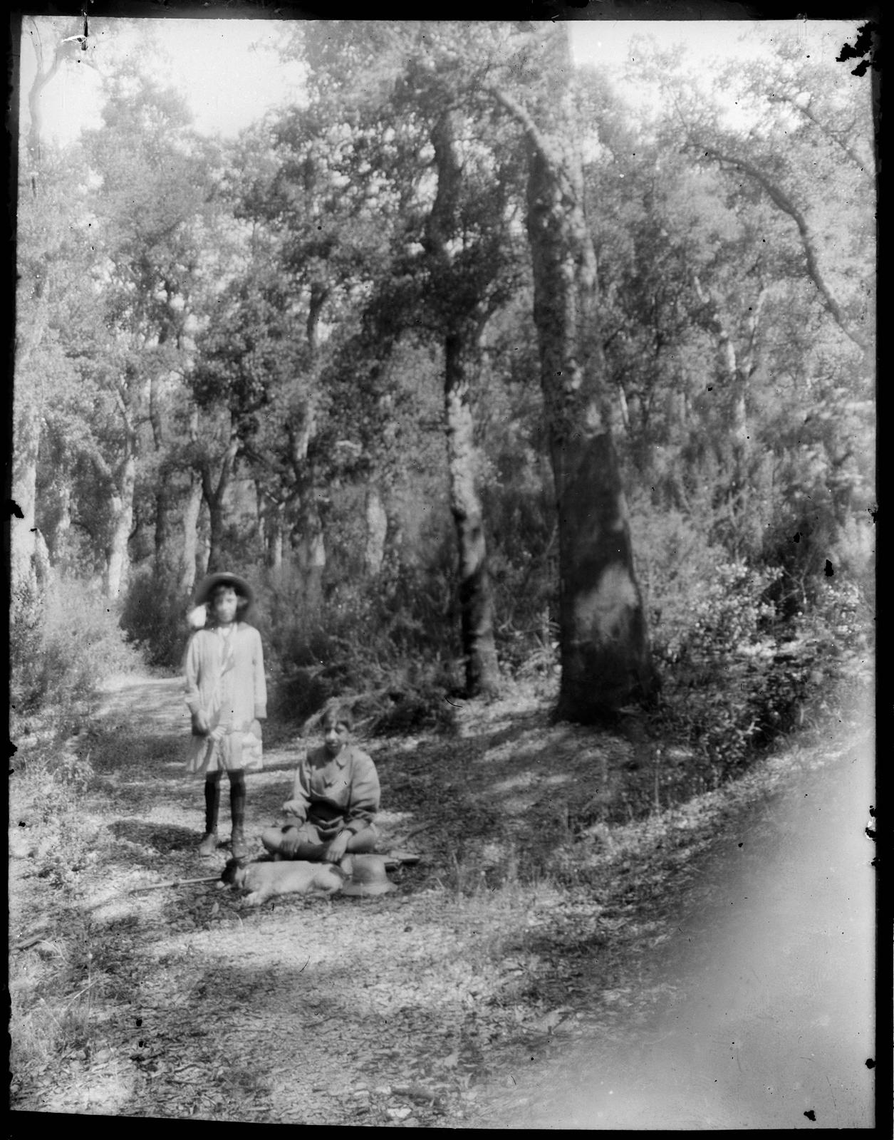 Desconegut, [Portrait in forest]