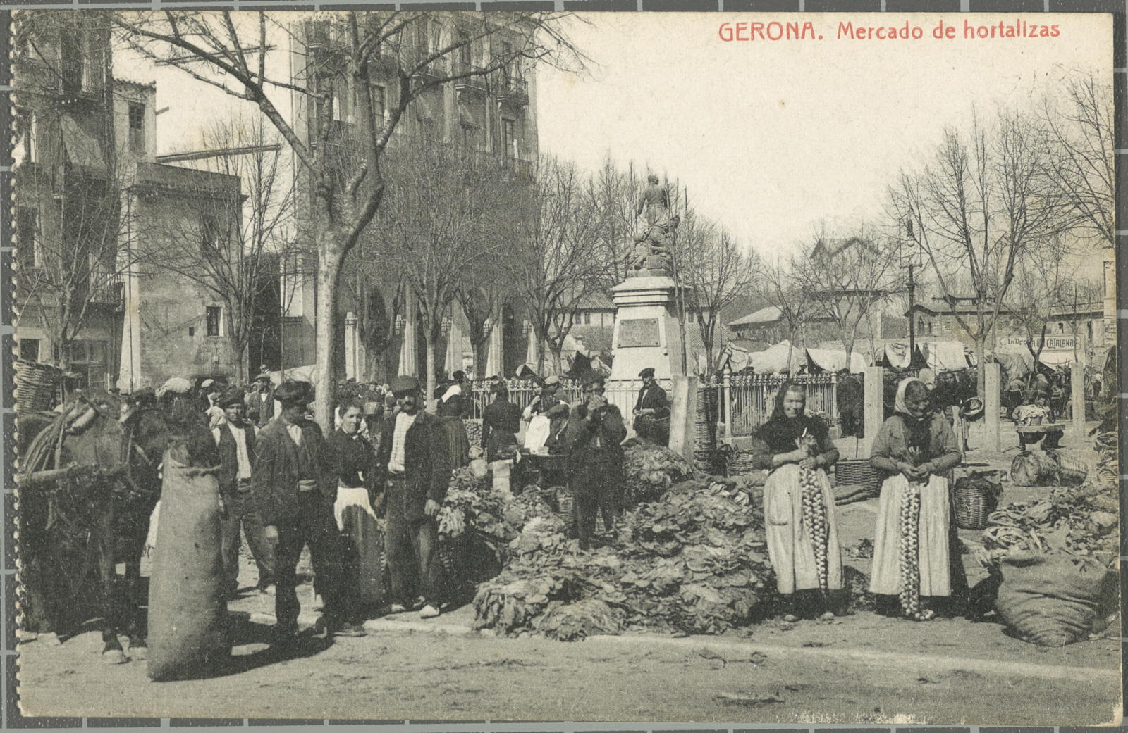 Gerona. Mercado de hortalizas