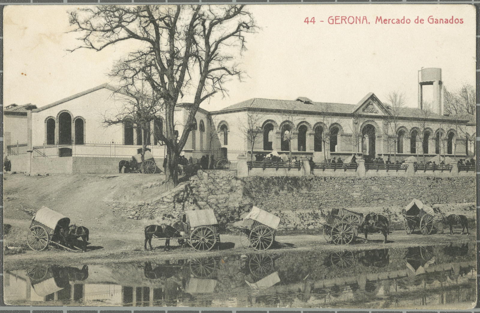 Desconegut, 44-Gerona. Mercado de Ganados
