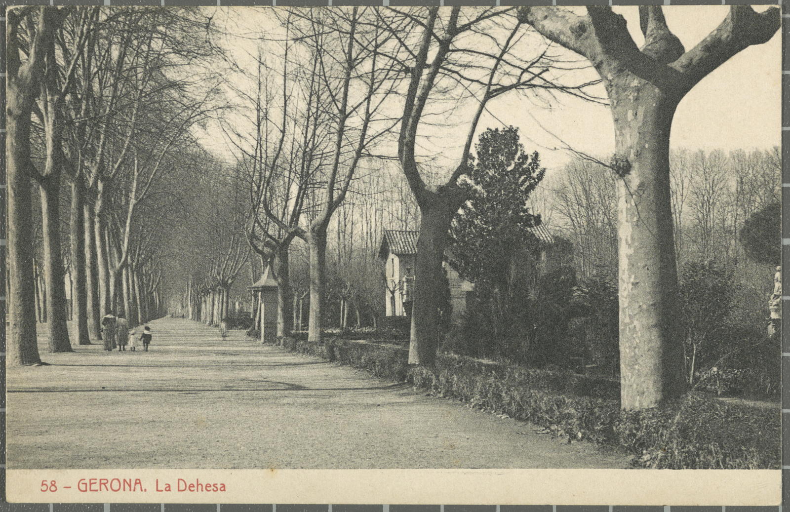 Desconegut, 58 -Gerona. The Dehesa