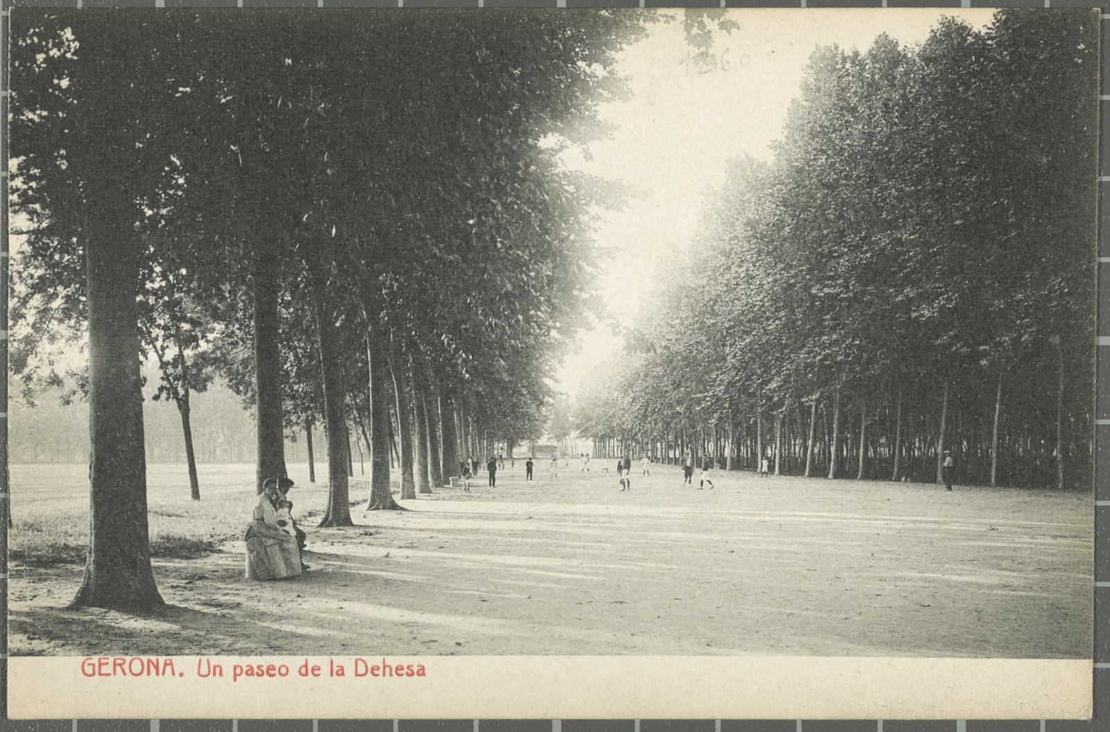 Desconegut, Gerona. Un paseo de la Dehesa