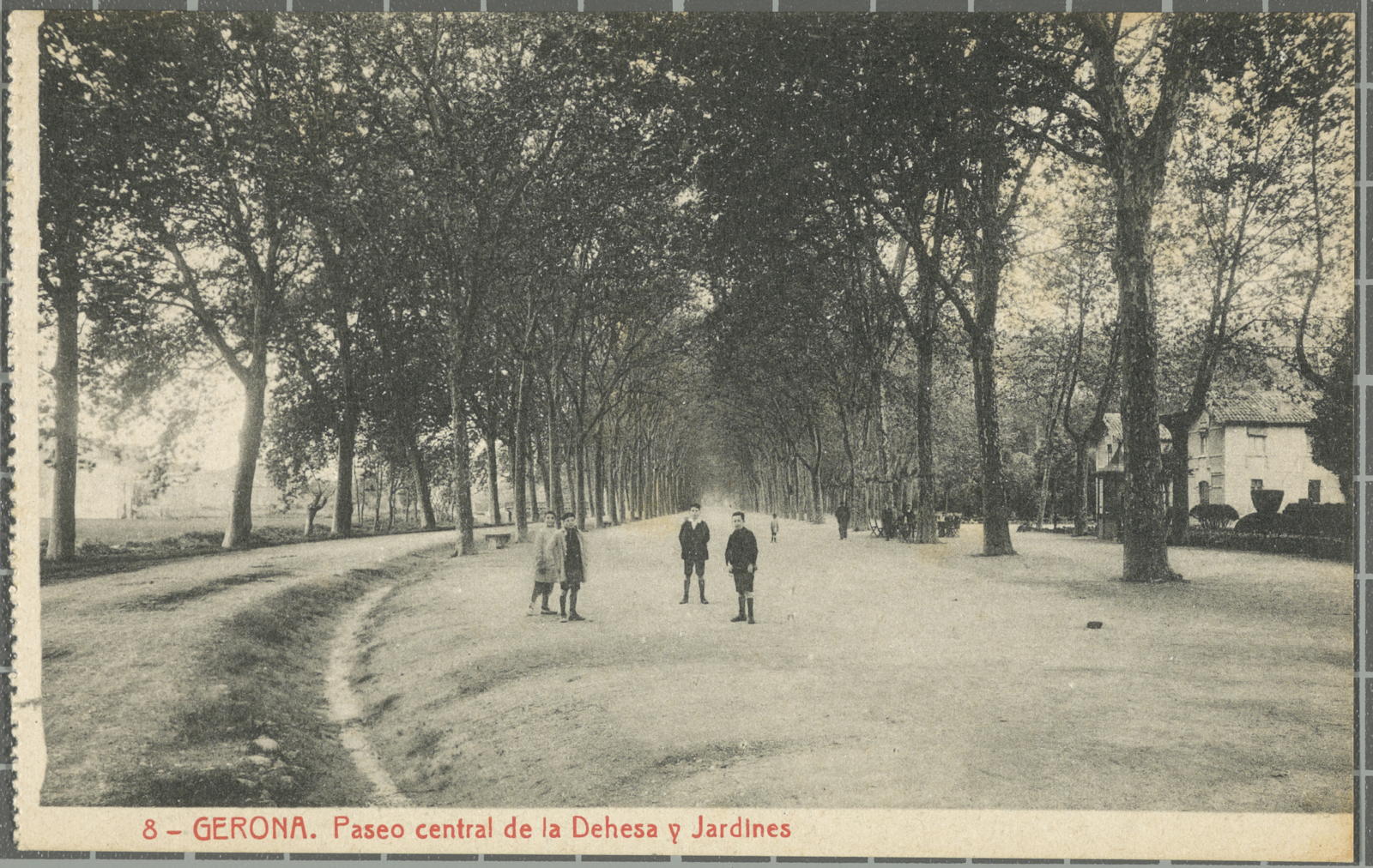 Desconegut, 8 -Gerona. Paseo central de la Dehesa y Jardines