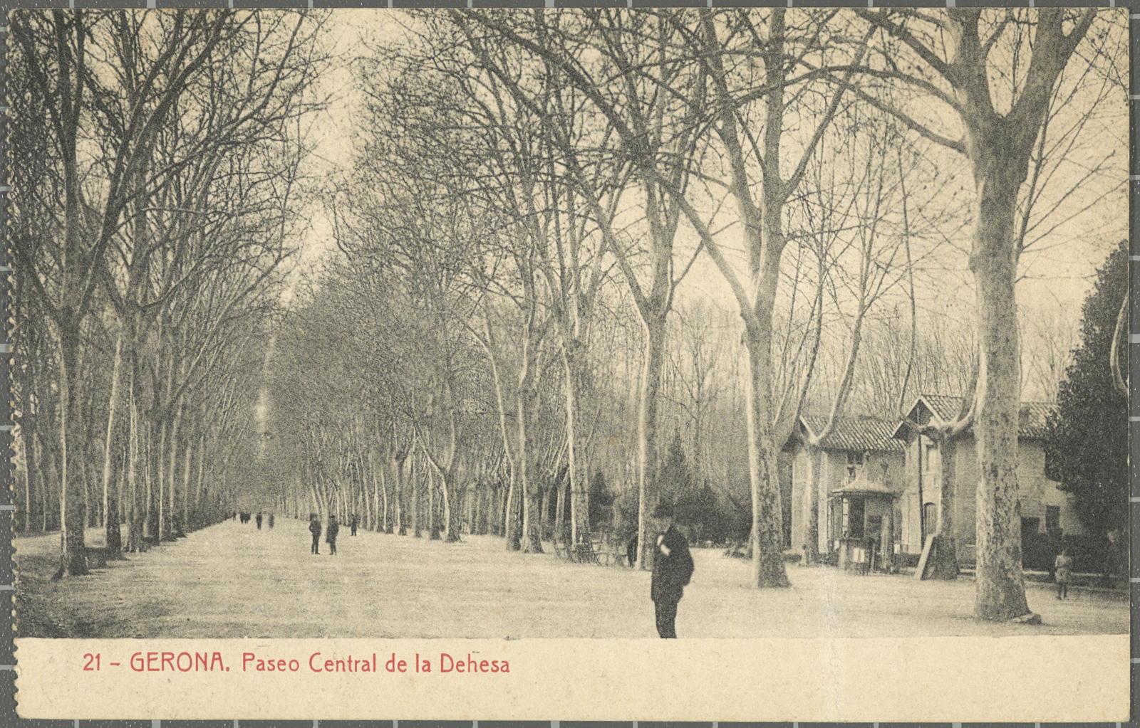 Desconegut, 21-Gerona. Paseo Central de la Dehesa