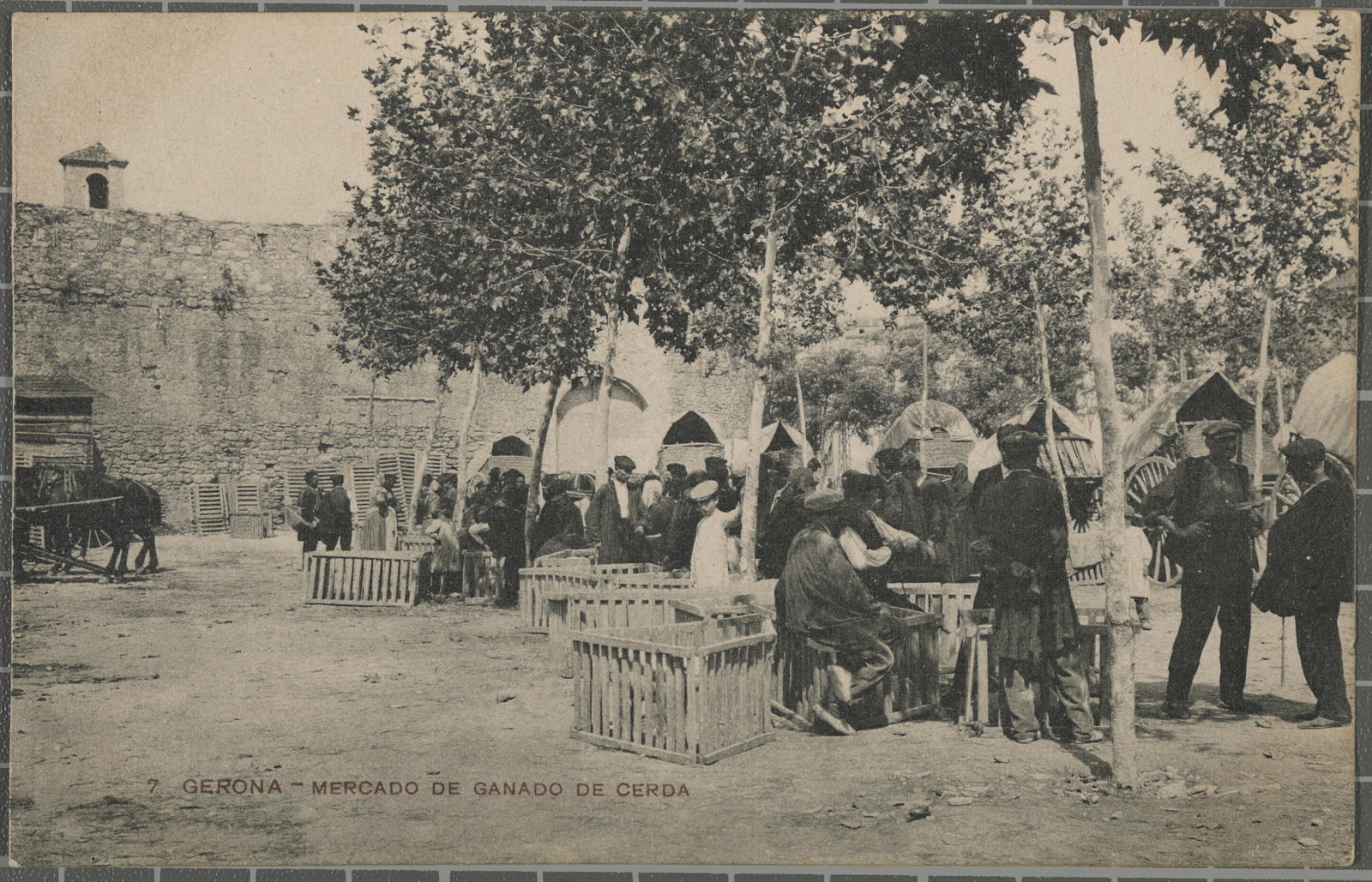 Desconegut, 7.Gerona-Mercado de Ganado de Cerda