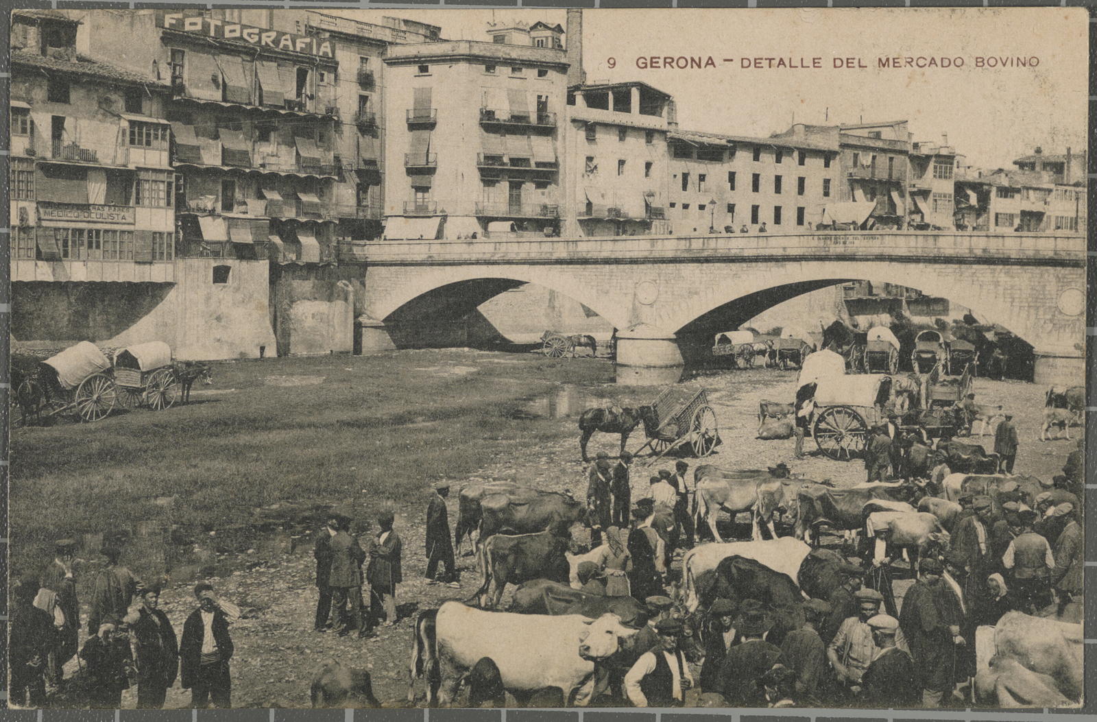 Desconegut, 9 Gerona-Detalle del mercado bovino