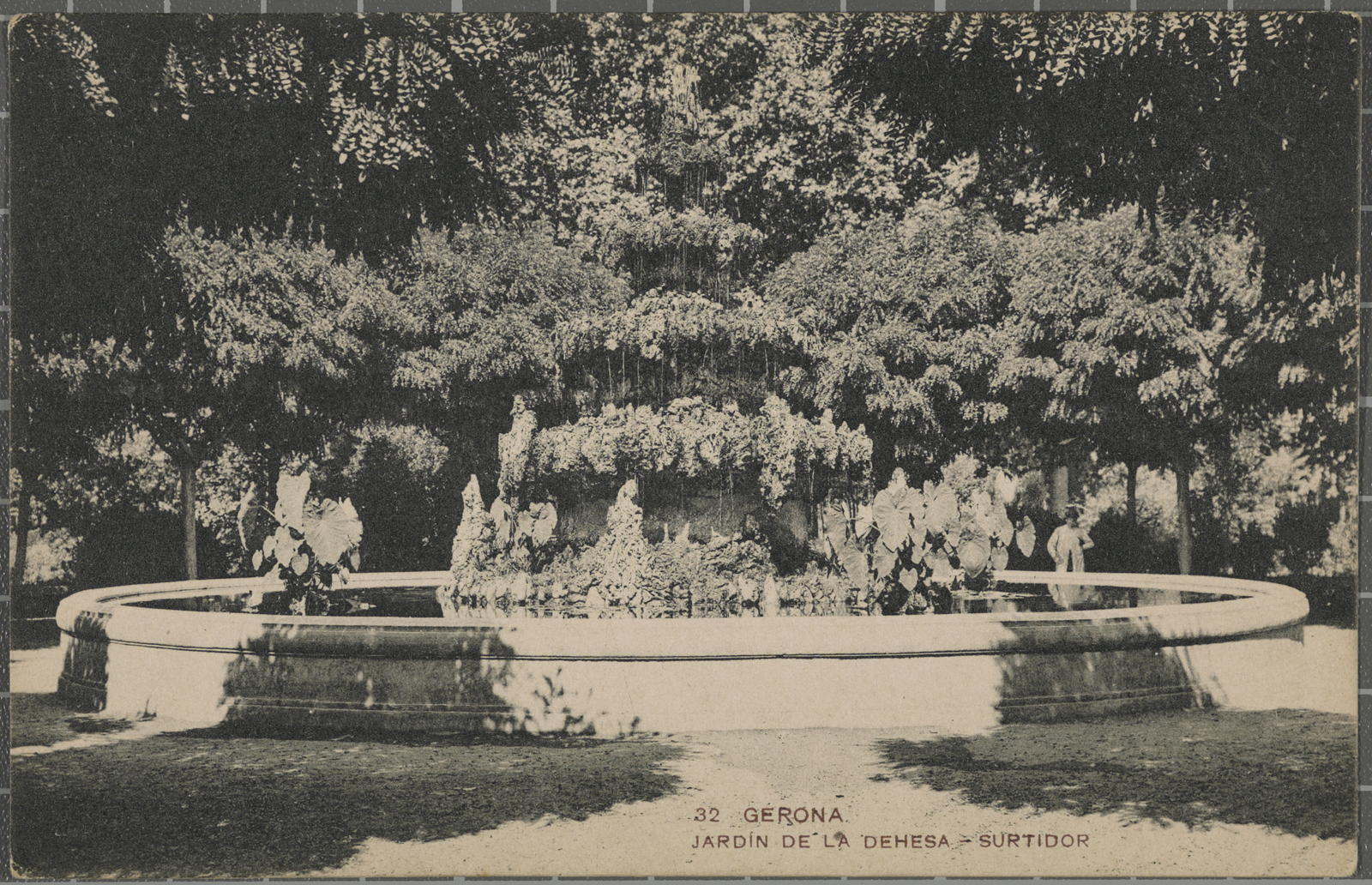 Desconegut, 32. Gerona - Dehesa Gardens - Surdor