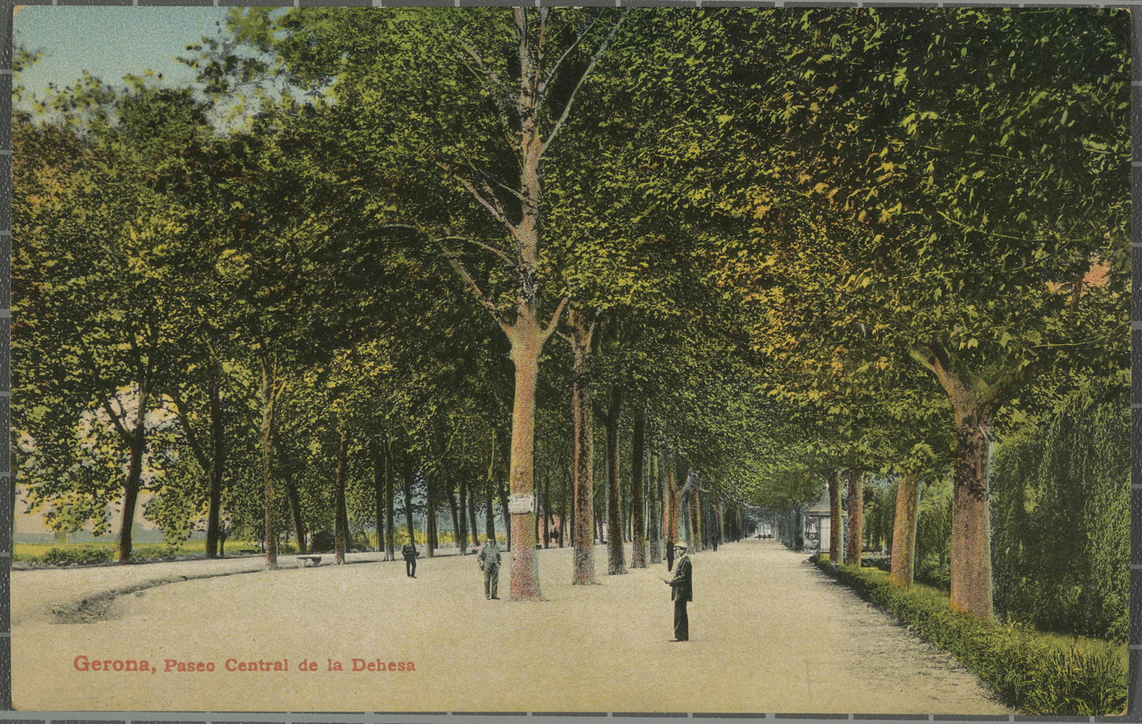 Desconegut, Gerona, Paseo Central de la Dehesa