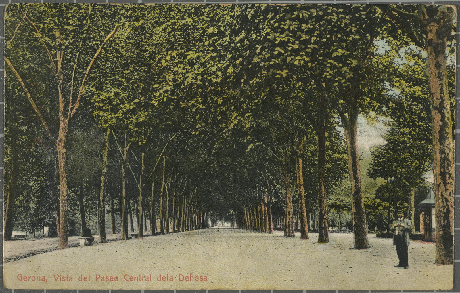 Desconegut, Gerona, Vista del Paseo Central de la Dehesa
