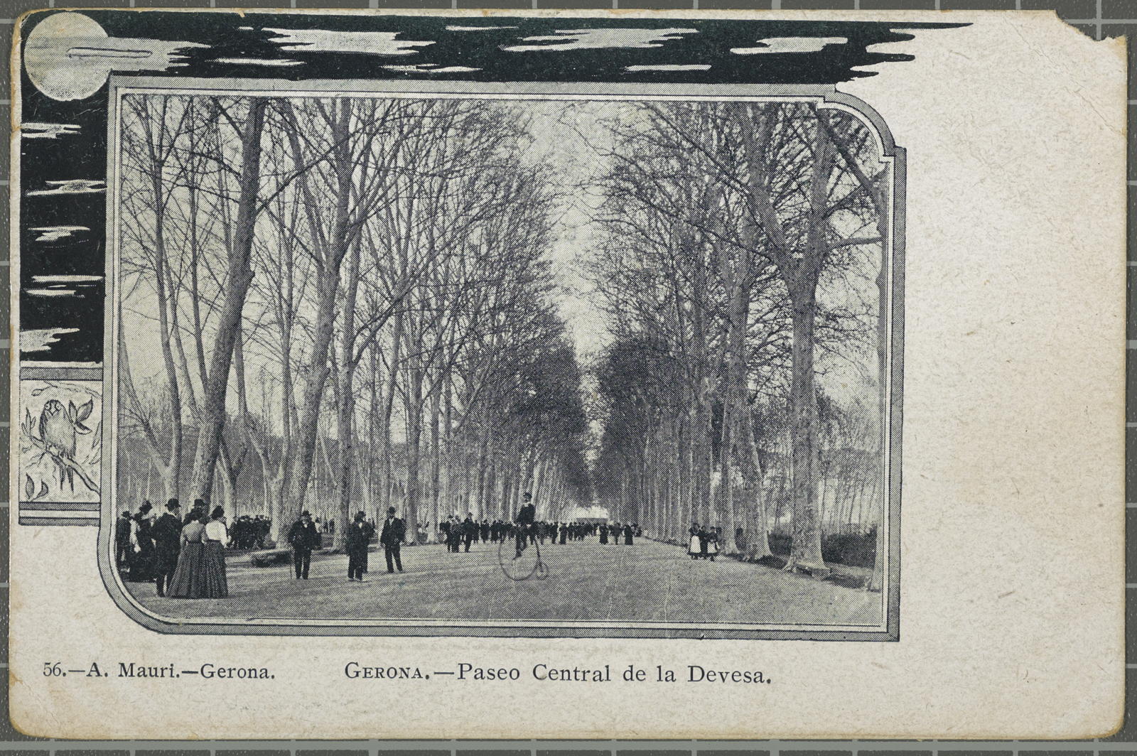 Gerona.-Paseo central de la Devesa
