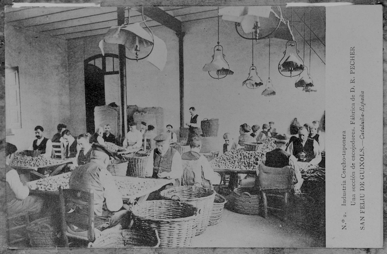 Desconegut, Nº2. Industria Corcho-taponera. Una sección de escojedores. Fábrica de D.R. Pecher. Sant Feliu de Guíxols.- Cataluña-España