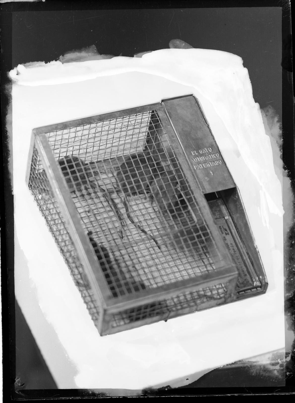 Desconegut, [Cage]