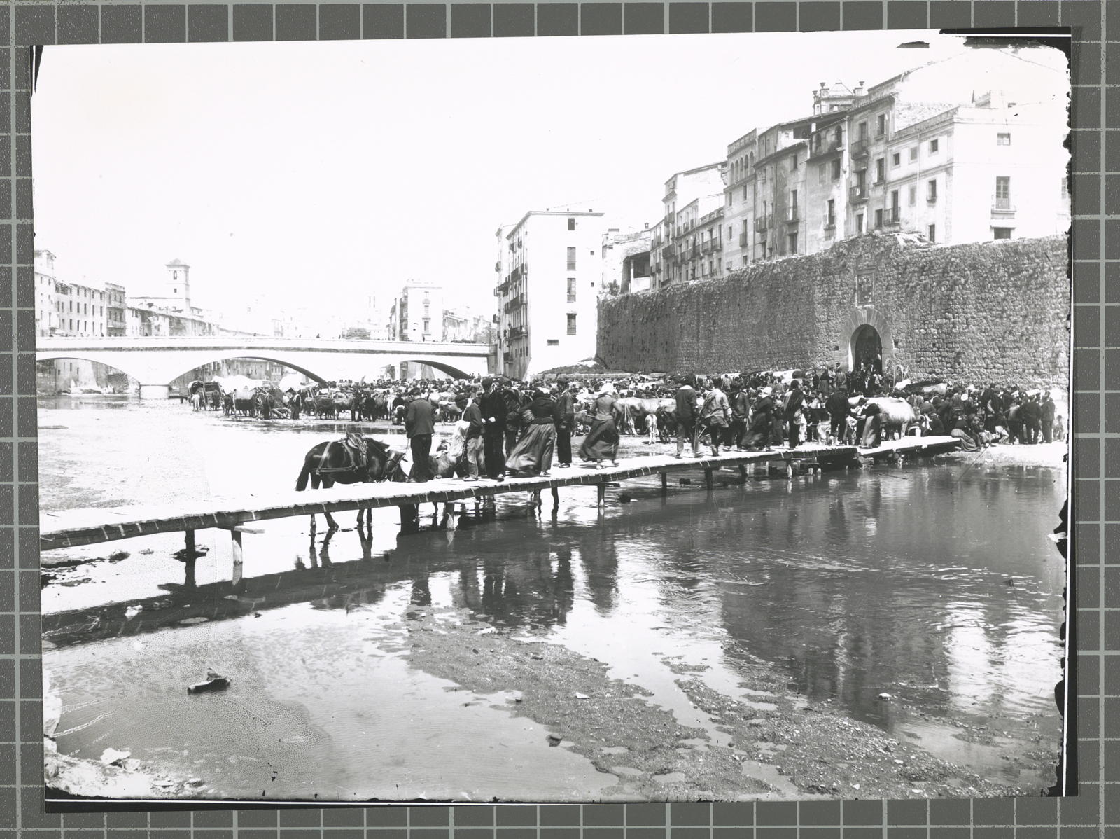 Areny Market