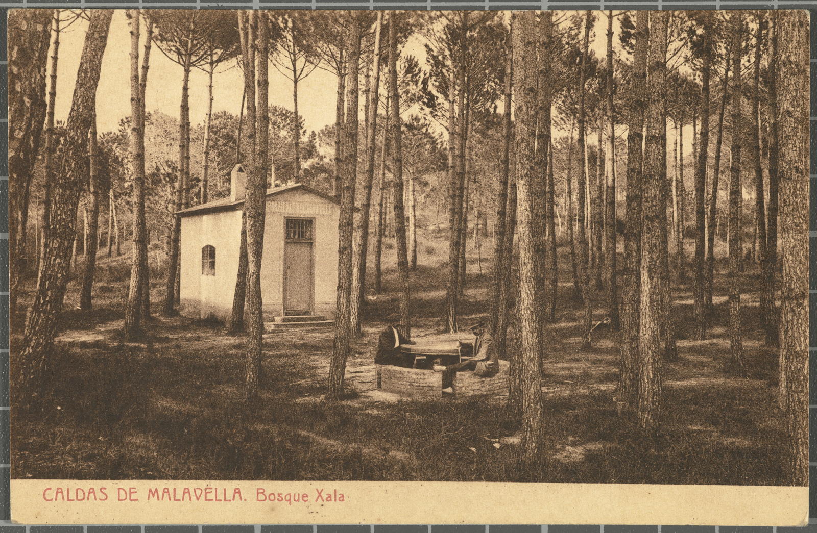 MALAVELLA CALDAS. Bosque Xala
