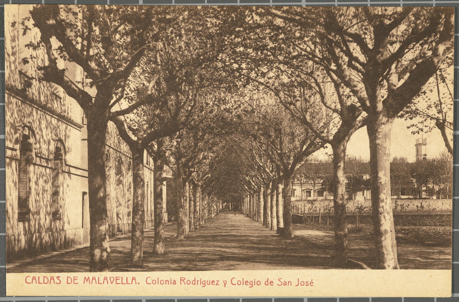 Josep Thomas Bigas, CALDAS DE MALAVELLA. Colonia Rodríguez y Colegio de San José