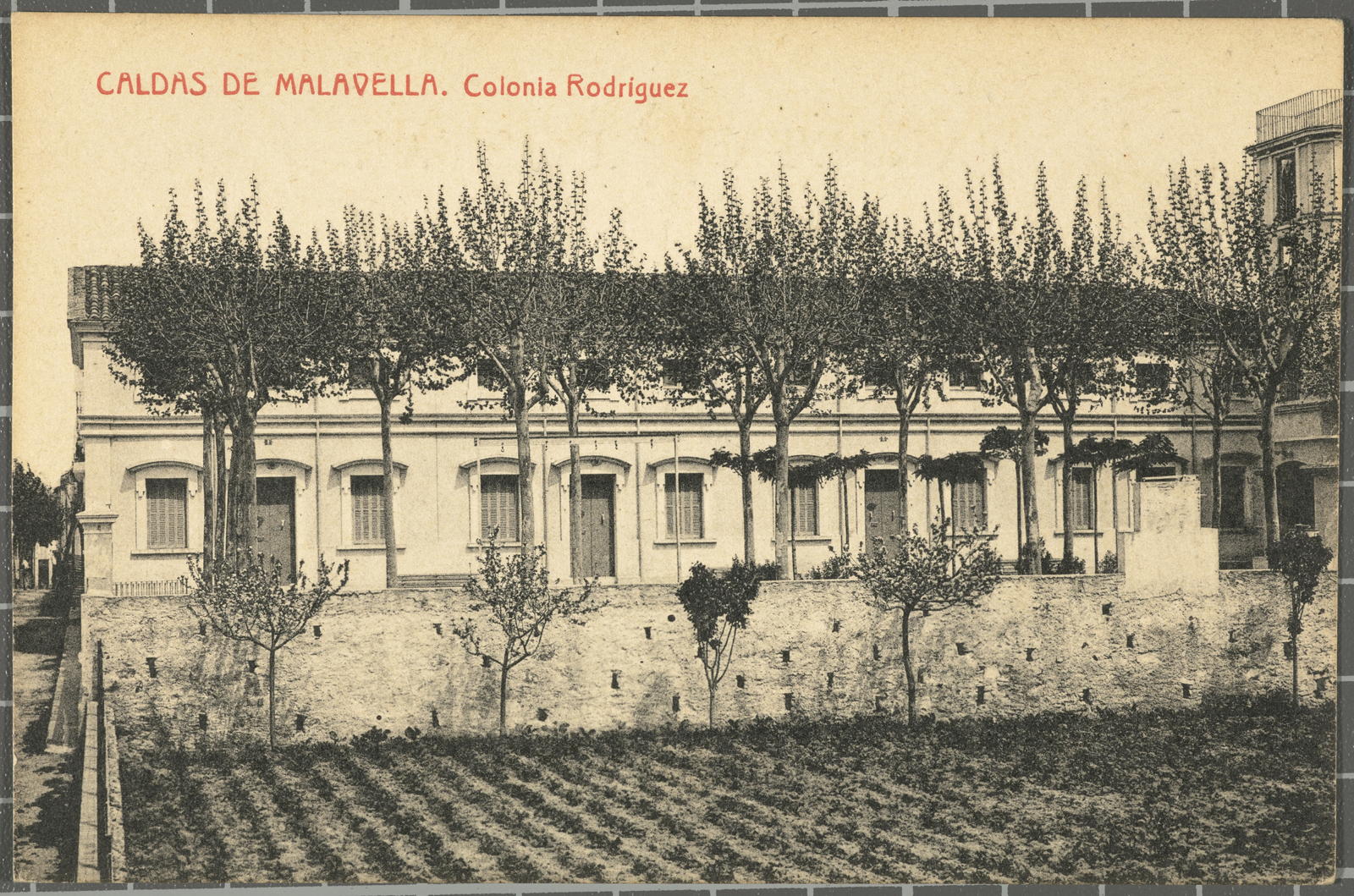Josep Thomas Bigas, CALDAS DE MALAVELLA. Colonia Rodriguez