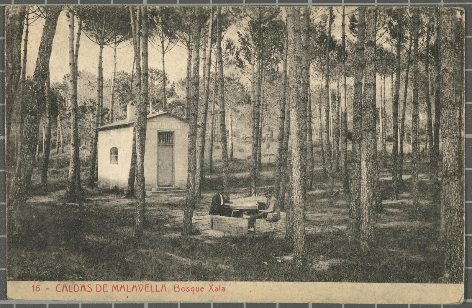 Josep Thomas Bigas, 16 - MALAVELLA CALDAS. Bosque Xala