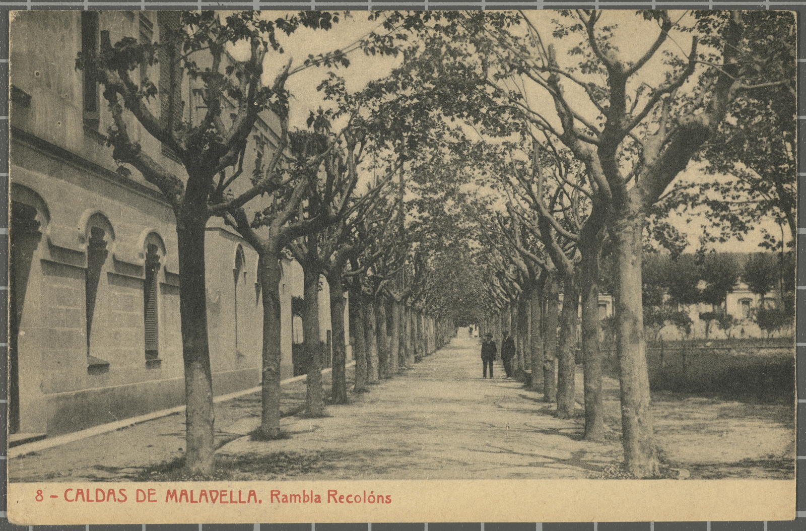 Josep Thomas Bigas, 8 - MALAVELLA CALDAS