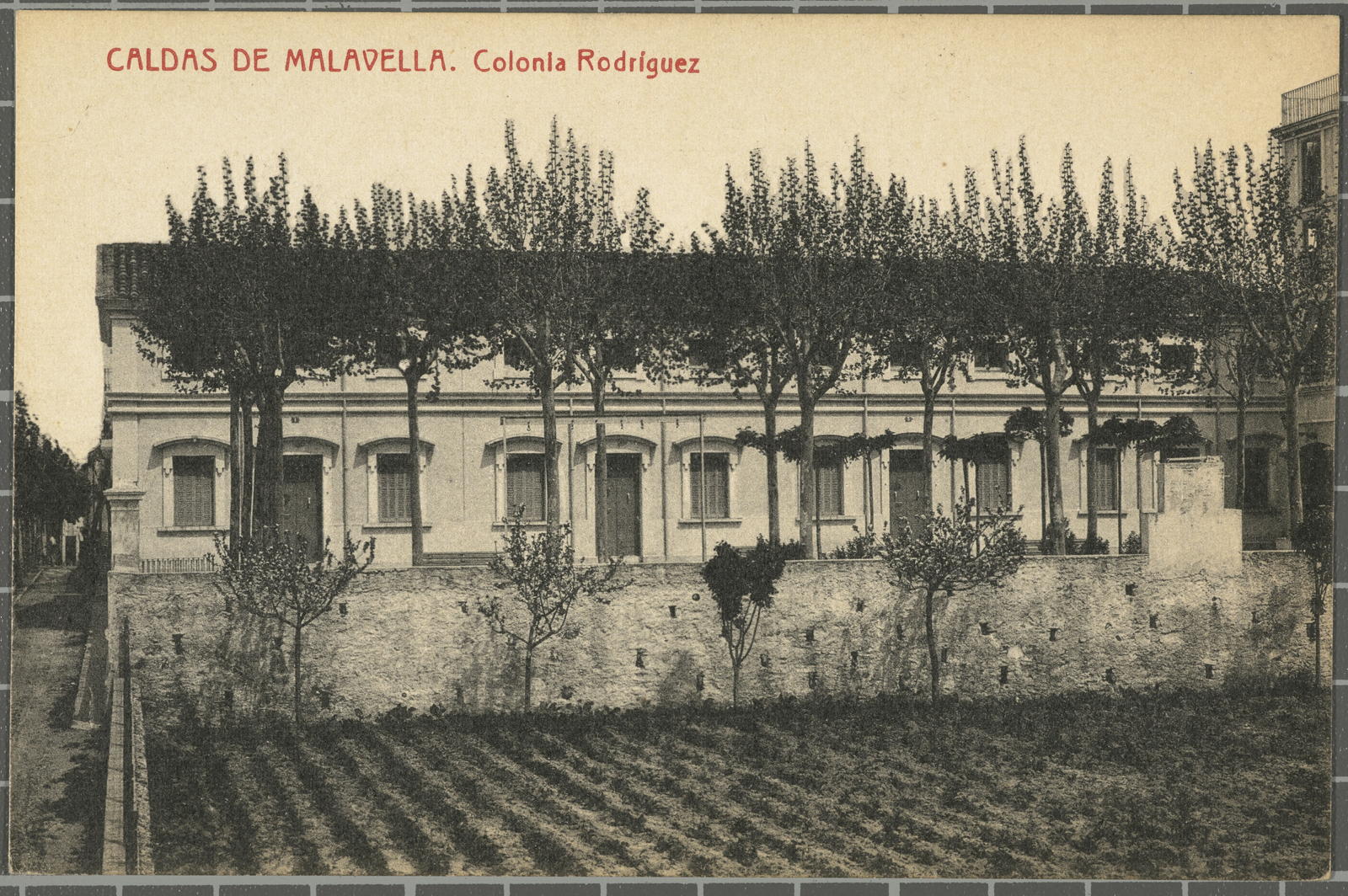 Josep Thomas Bigas, CALDAS DE MALAVELLA. Colonia Rodriguez