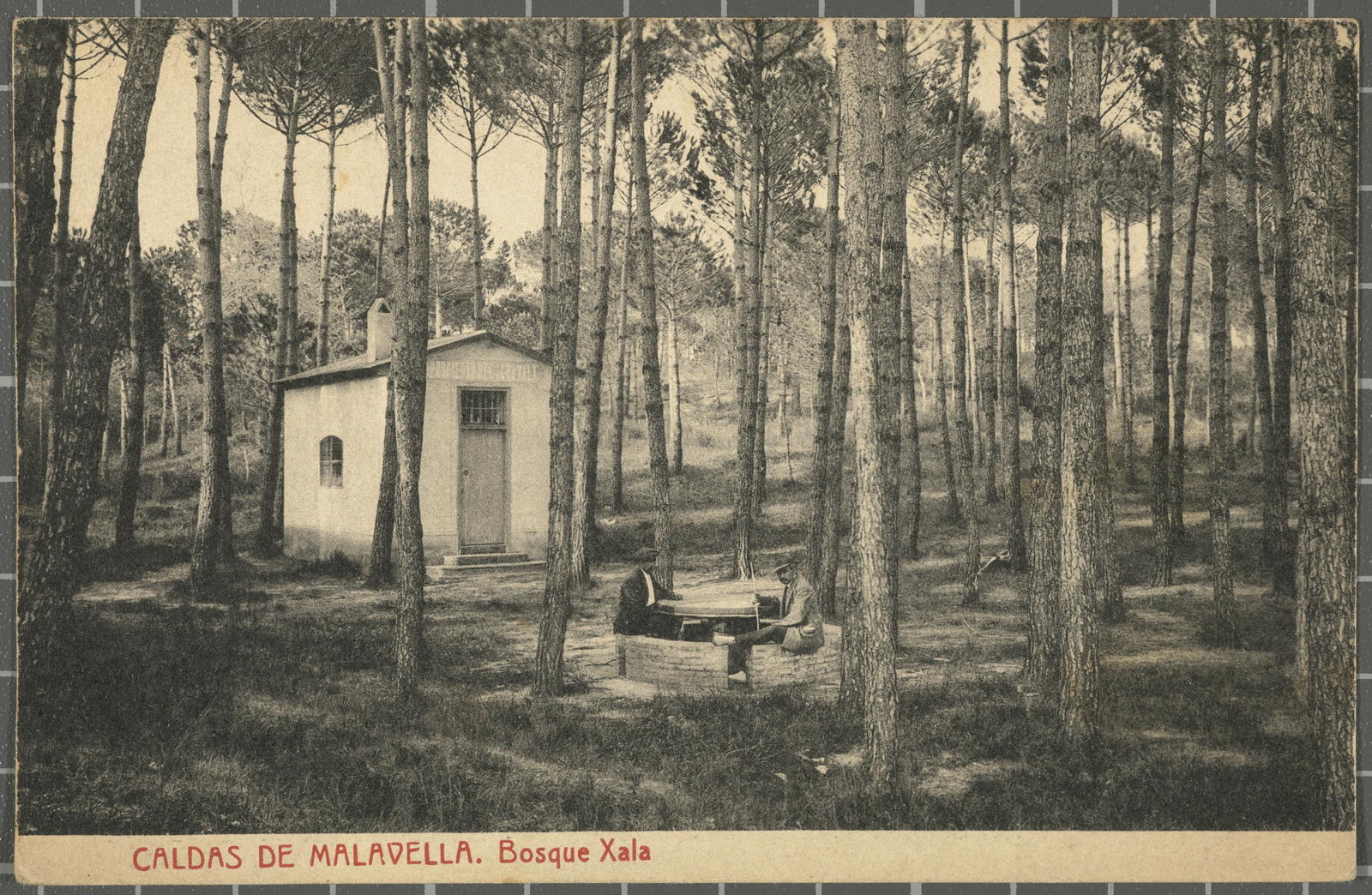 CALDAS DE MALAVELLA. Bosque Xala
