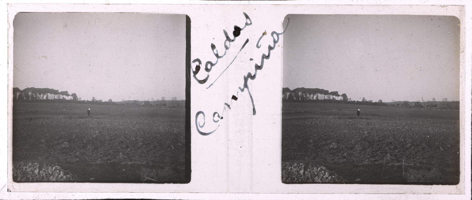 Desconegut, [The Farm]