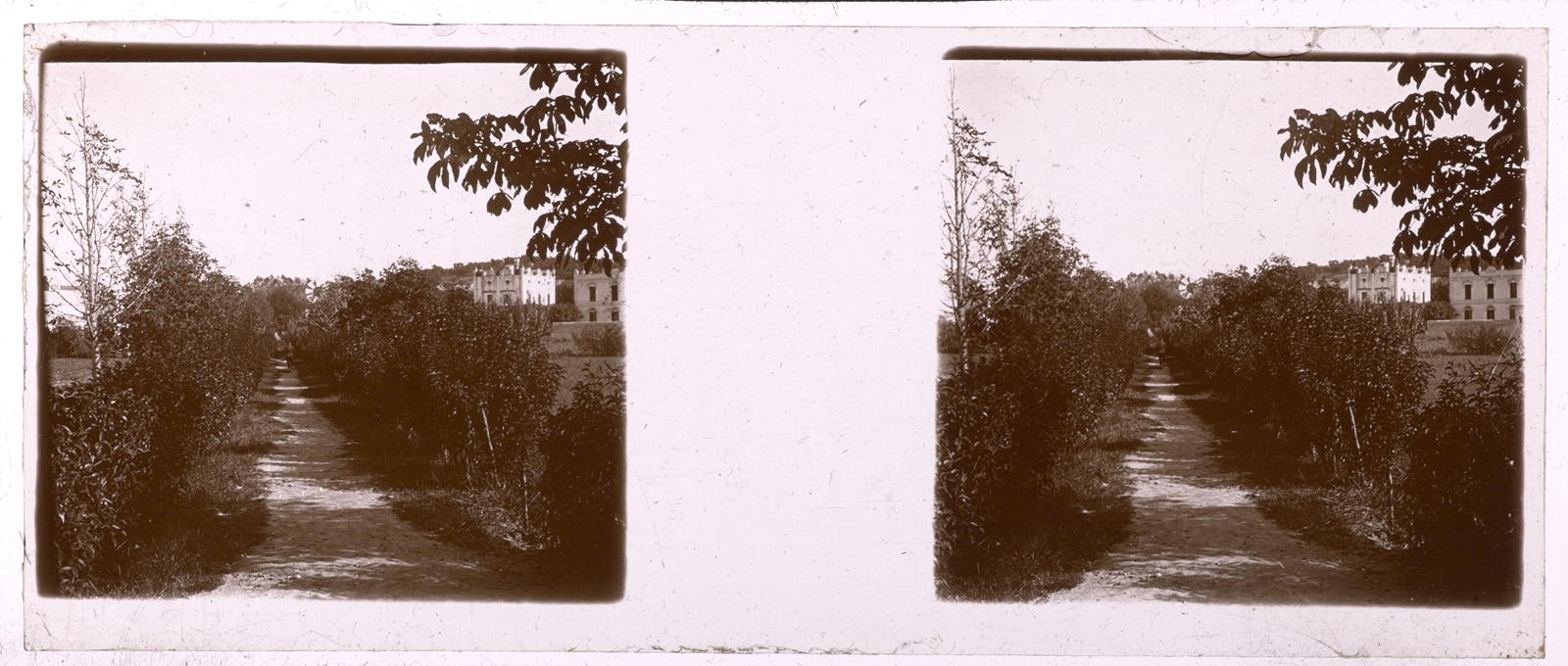 Desconegut, [La Granja de Caldes de Malavella]