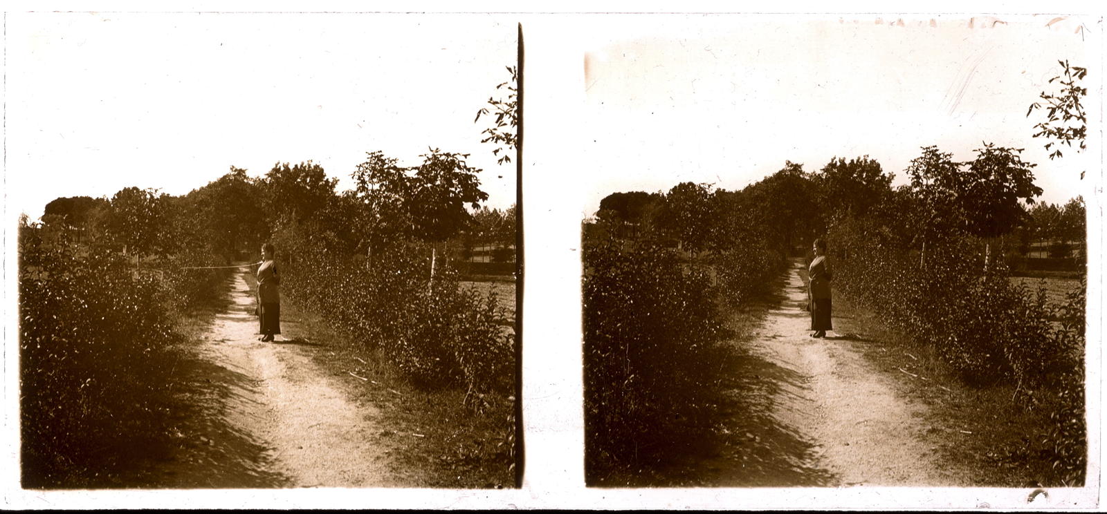 Desconegut, [Camí de La Granja]
