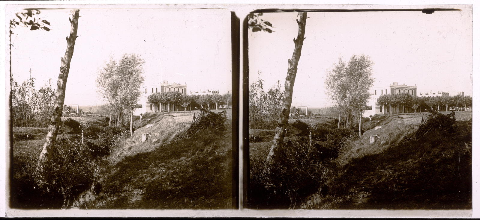Desconegut, [St Joseph Cluny College]