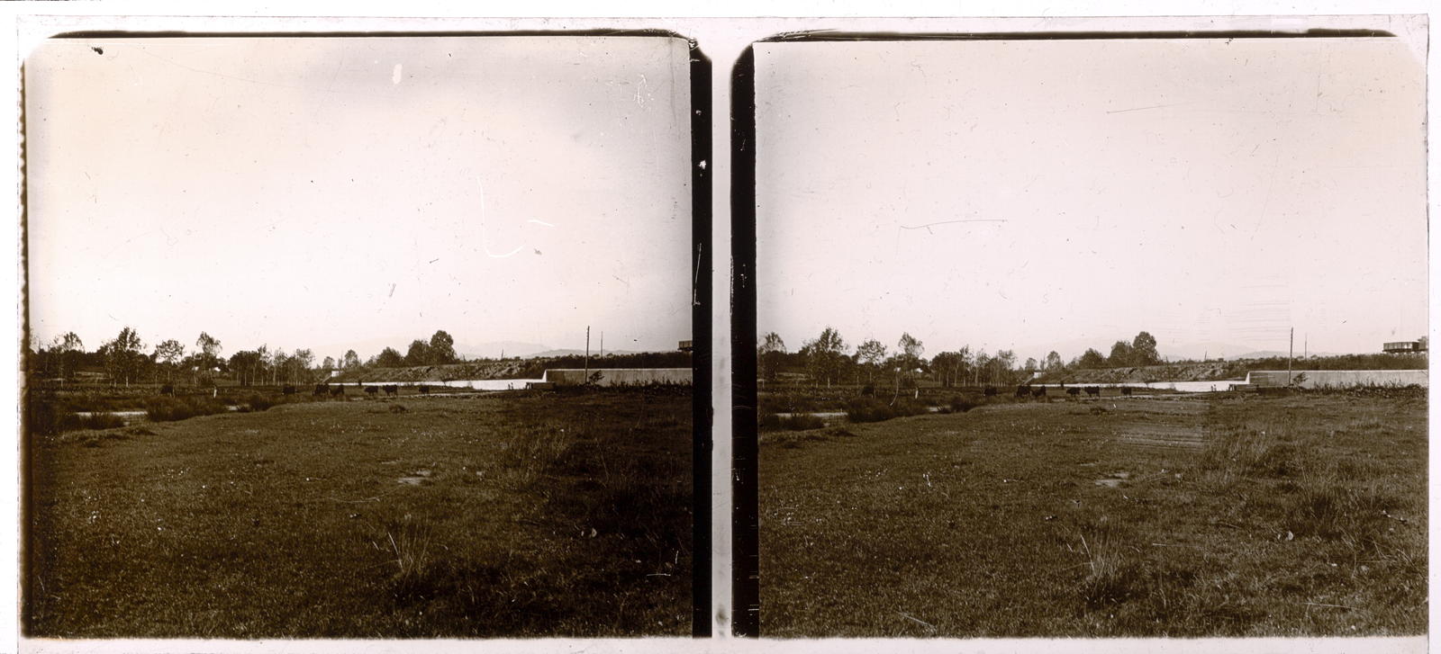 Desconegut, [Field]