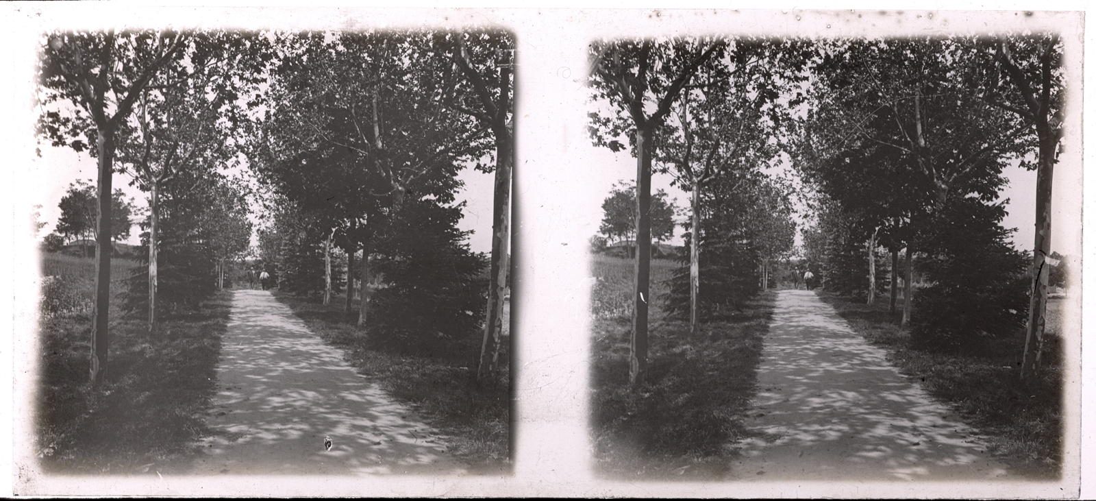 Desconegut, [Camí de La Granja]