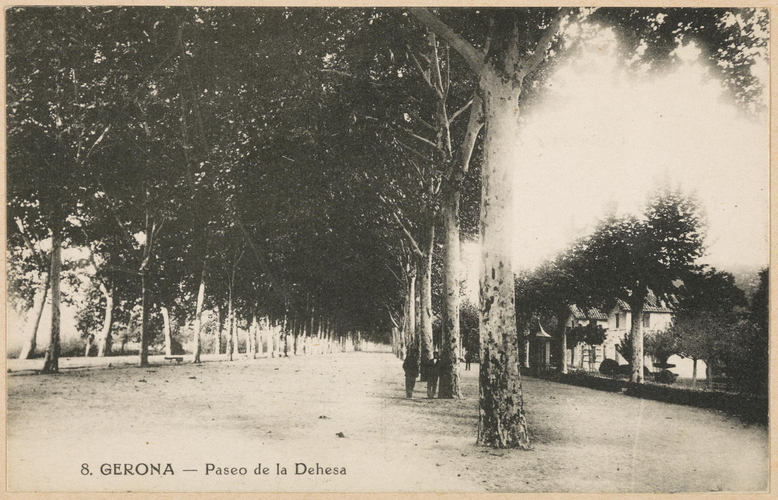 Desconegut, 8. Gerona. Dehesa’s Paseo