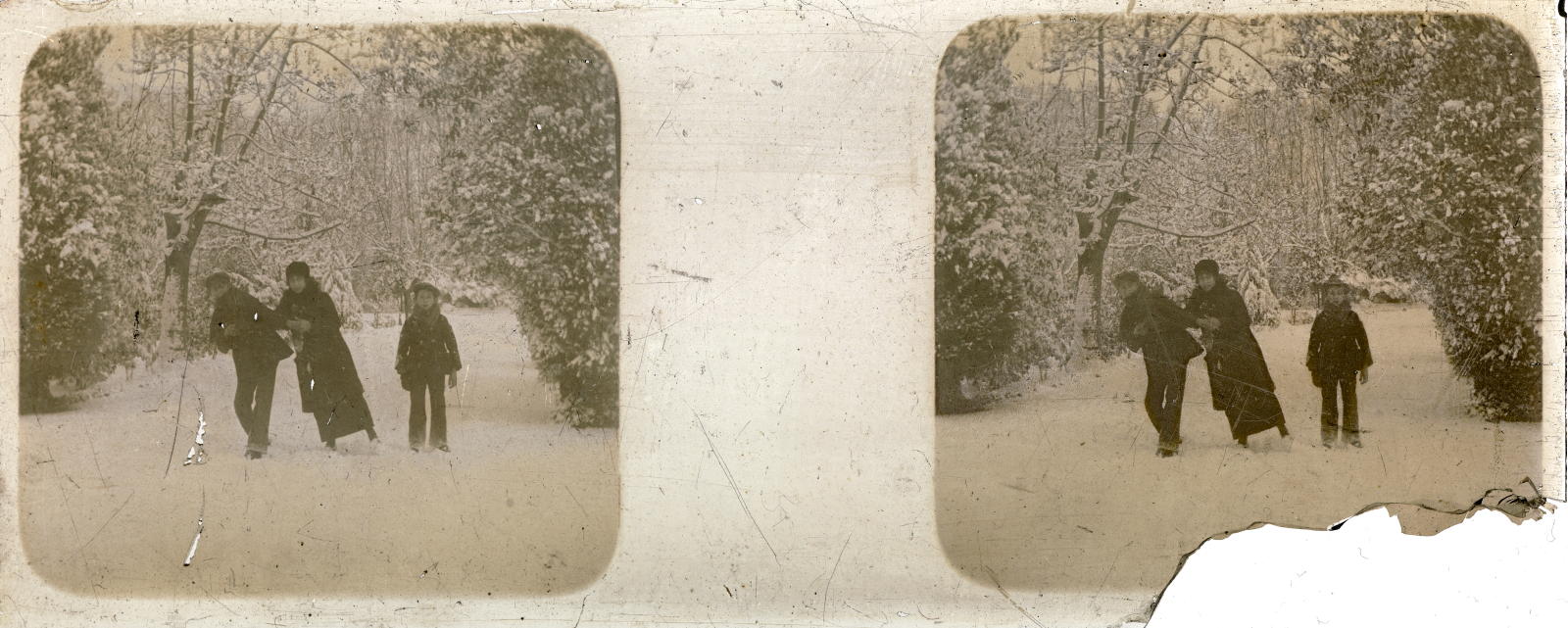 Desconegut, [Nevada to Queen Victoria Gardens]