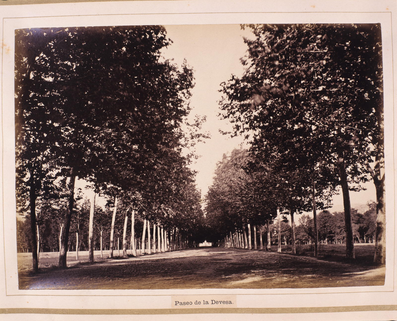 Joan Martí Centelles, 44. Paseo de la Dehesa