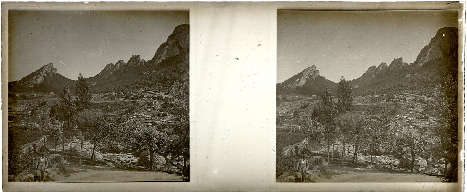Desconegut, [Vall d'Ordesa]