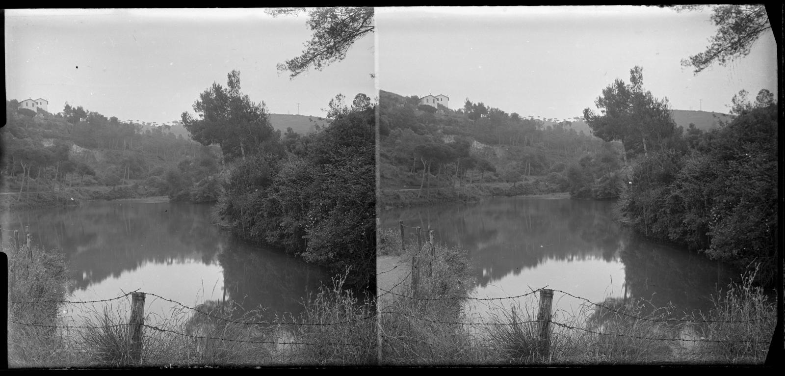 Desconegut, [Vallvidrera Marsh]