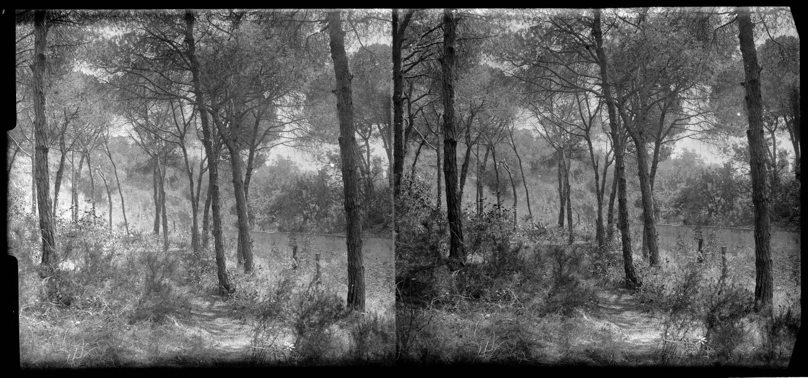 Desconegut, [Llobregat River]