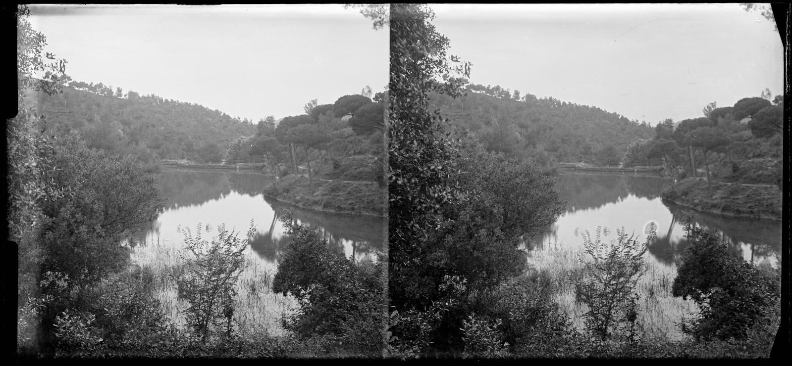 Desconegut, [Vallvidrera Marsh]