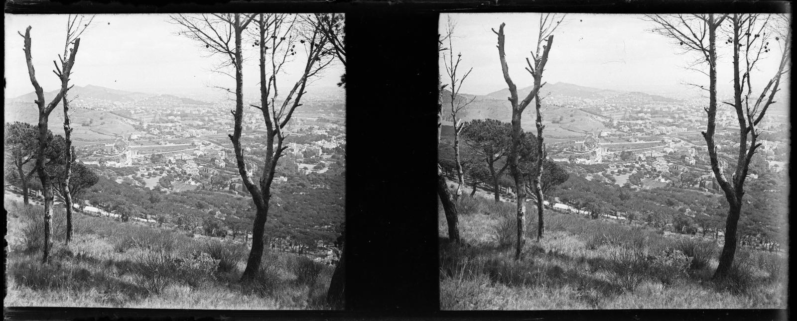 Desconegut, [Bosc a Sarrià]