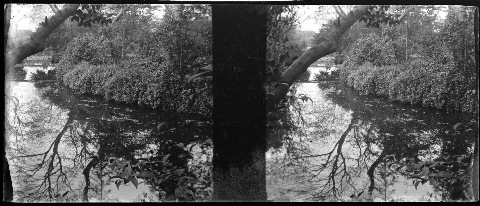 Desconegut, [Rubbed section of a river]