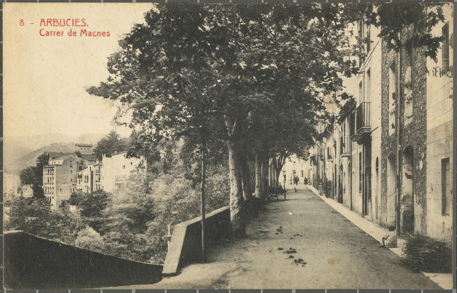 Desconegut, 8 - Arbucies. Carrer de Macnes