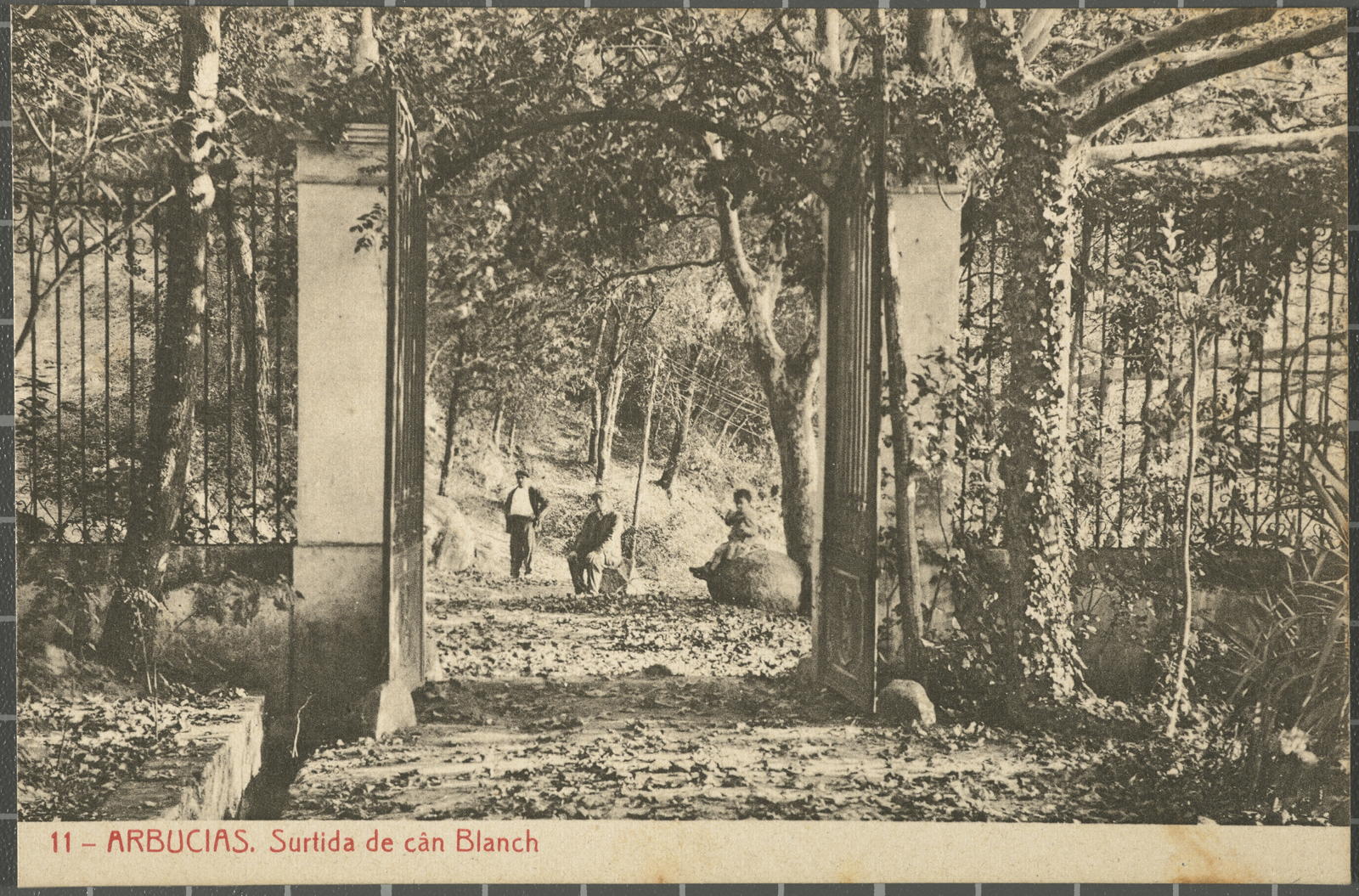 Amadeu Mauri Aulet, 11 - Arbucias. Surtida de cán Blanch