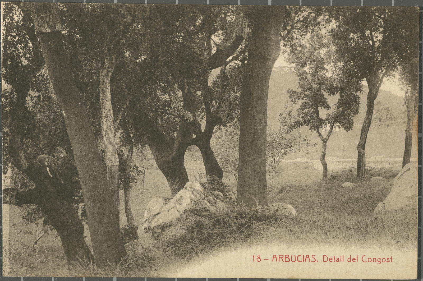 Amadeu Mauri Aulet, 18 - Arbucias. Detall del Congost