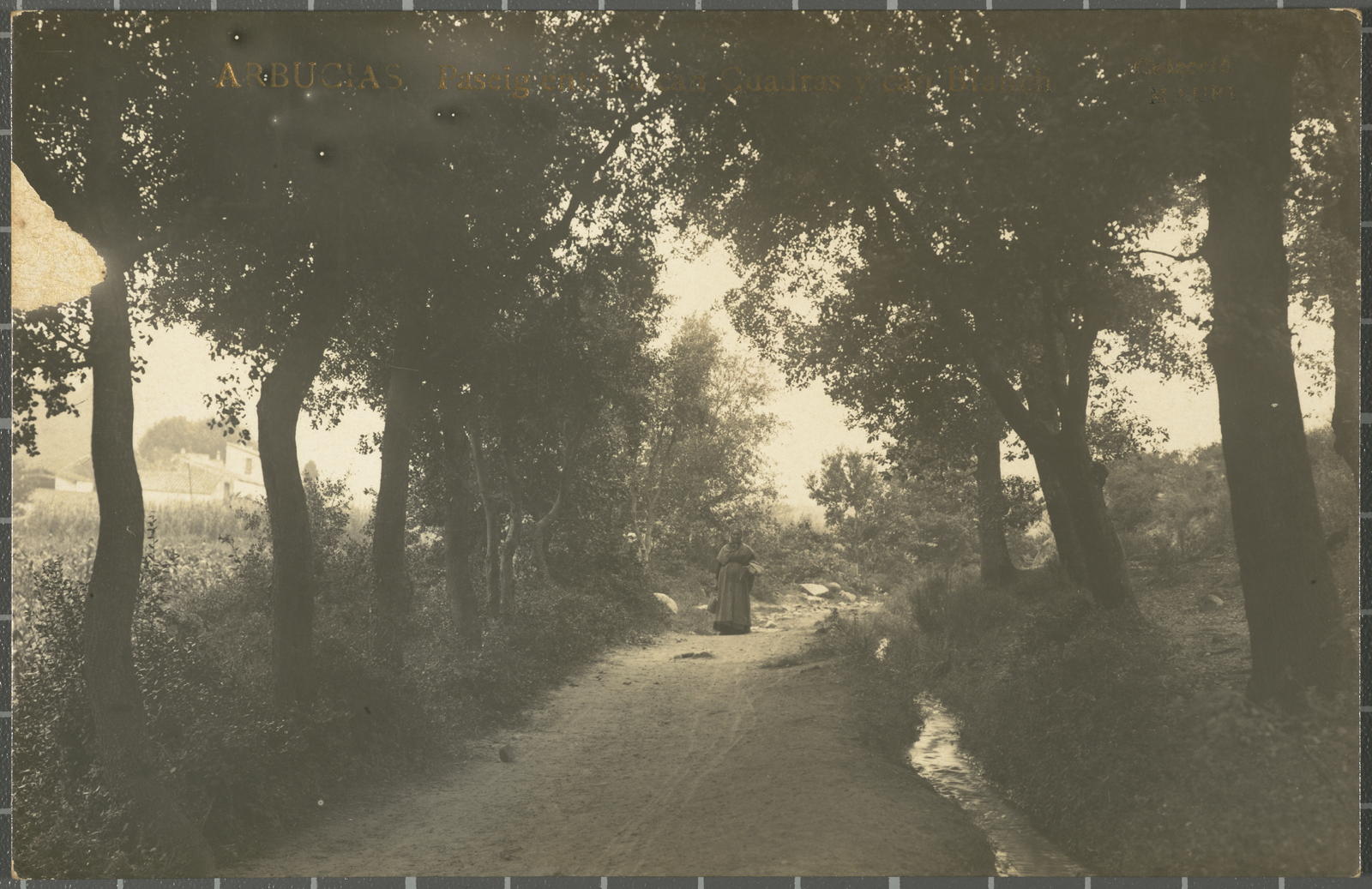 Amadeu Mauri Aulet, Arbucias. Paseig entre a Can Cuadras y can Blanch