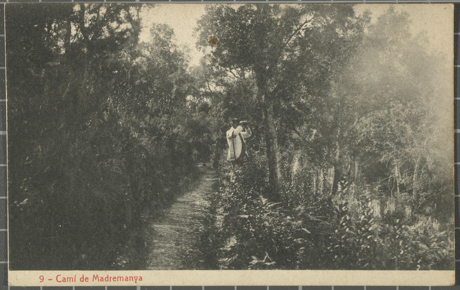Desconegut, 9 - Camí de Madremanya
