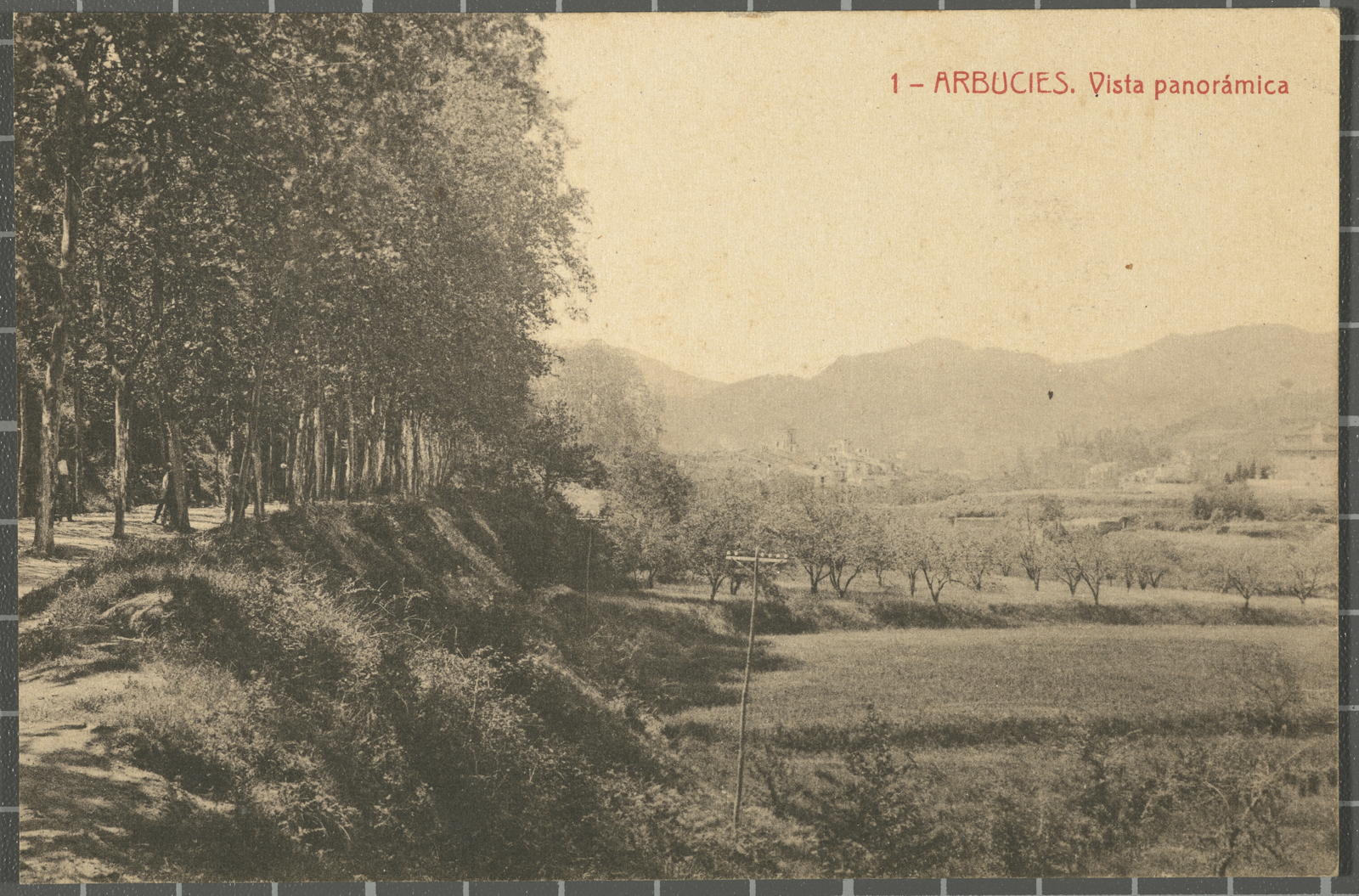 Desconegut, 1 - Arbucies.Vista panorámica