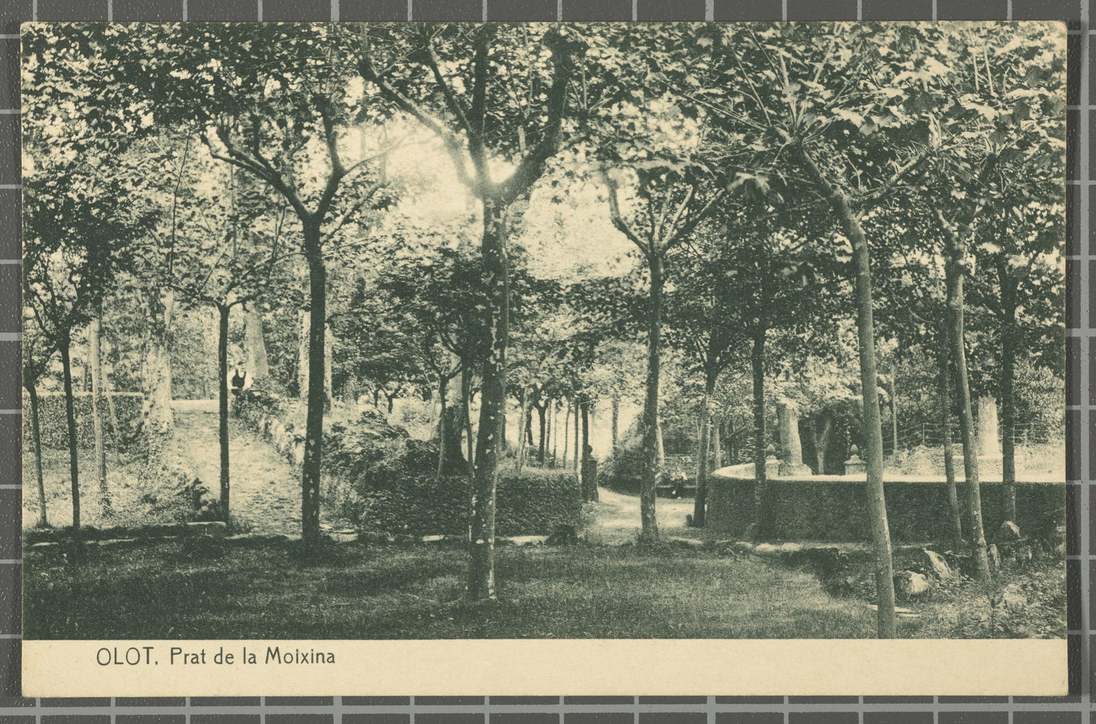 Desconegut, 10 - Olot. Prat de la Moixina