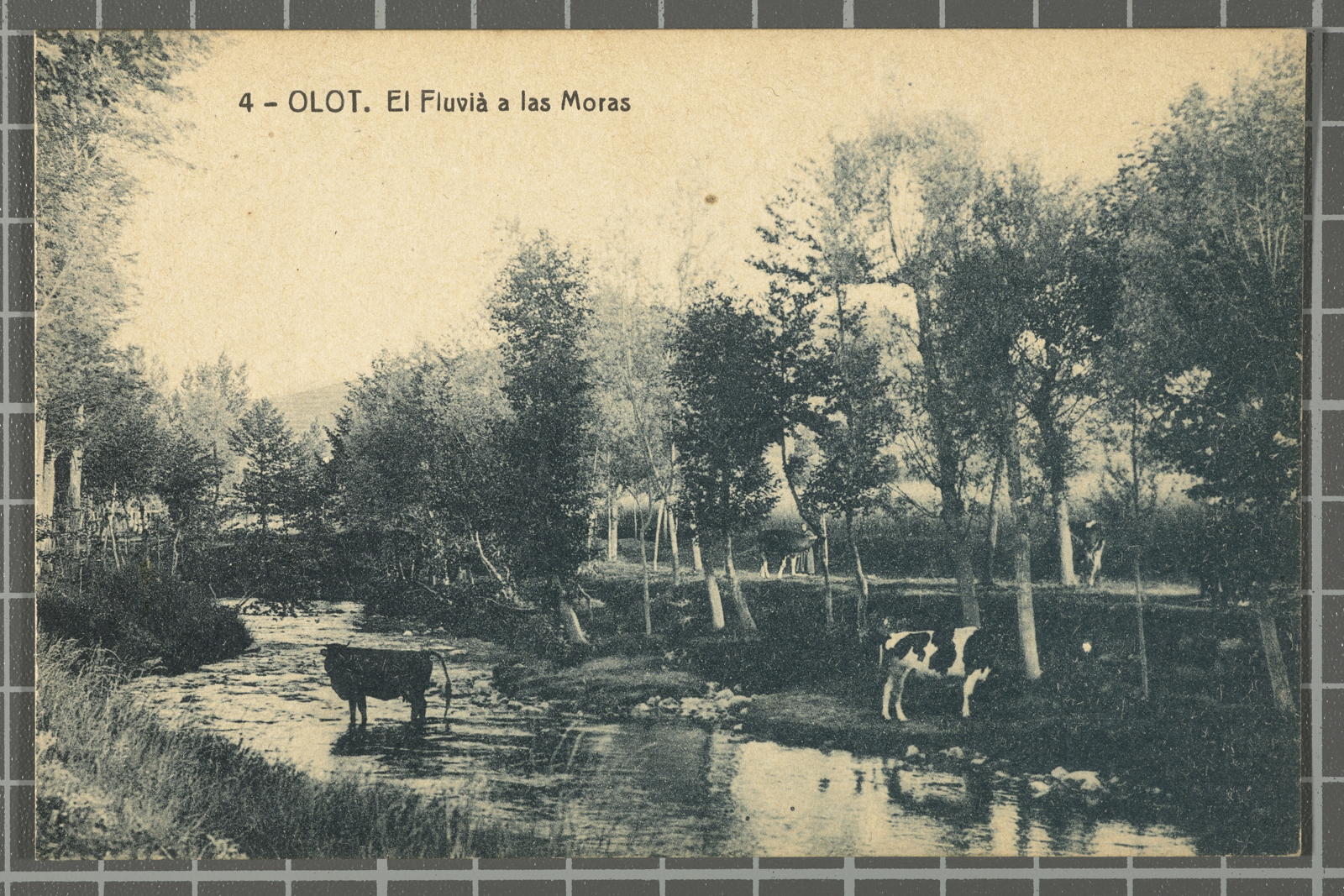 Desconegut, 4 - Olot. El Fluvià a las Moras