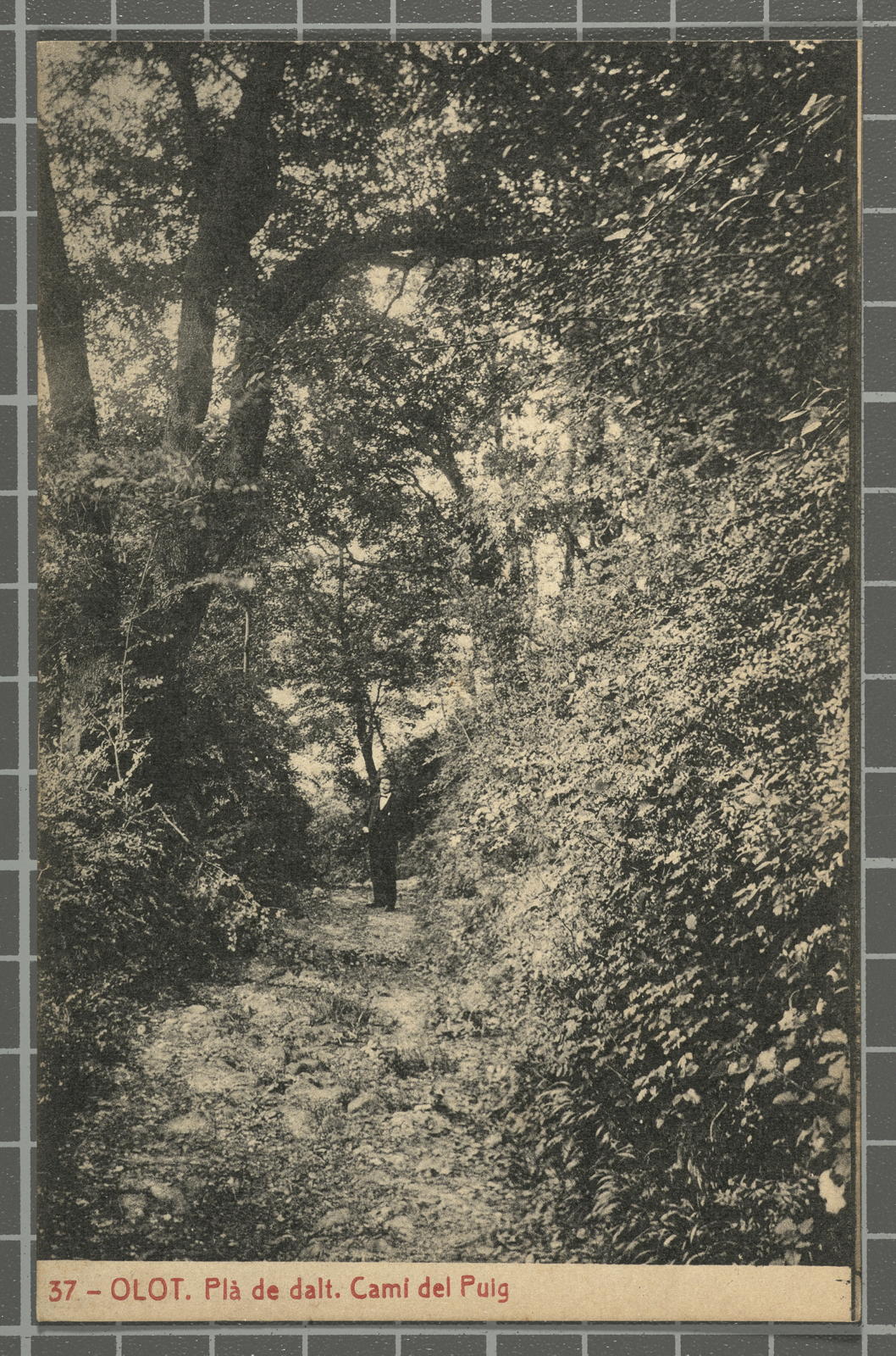 Desconegut, 37 - Olot. Plain above. Road of the Puig