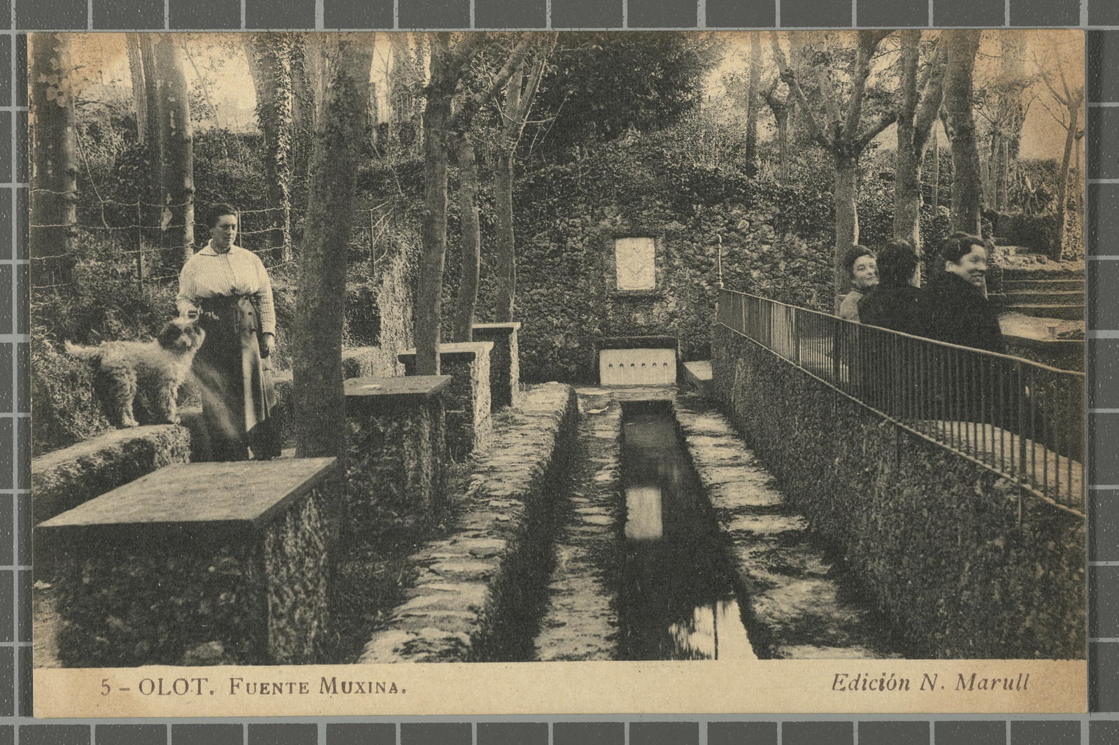 Desconegut, 5 - Olot. Fuente Muxina