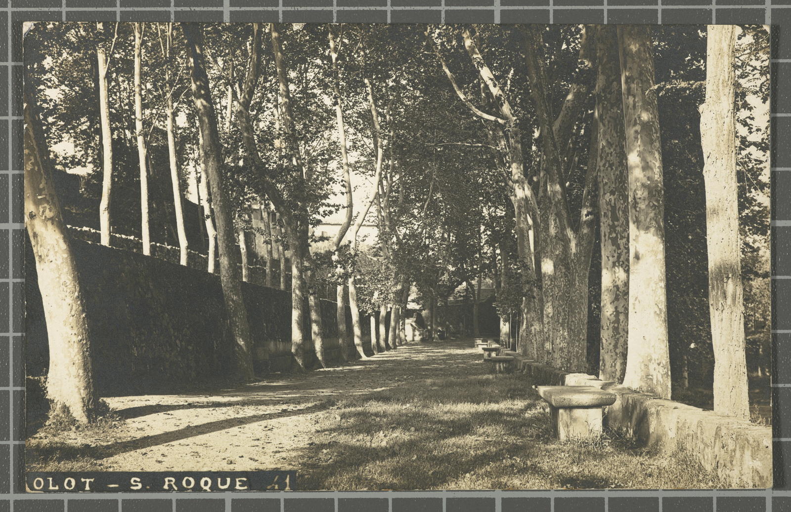 Desconegut, Olot - S. Roque 41