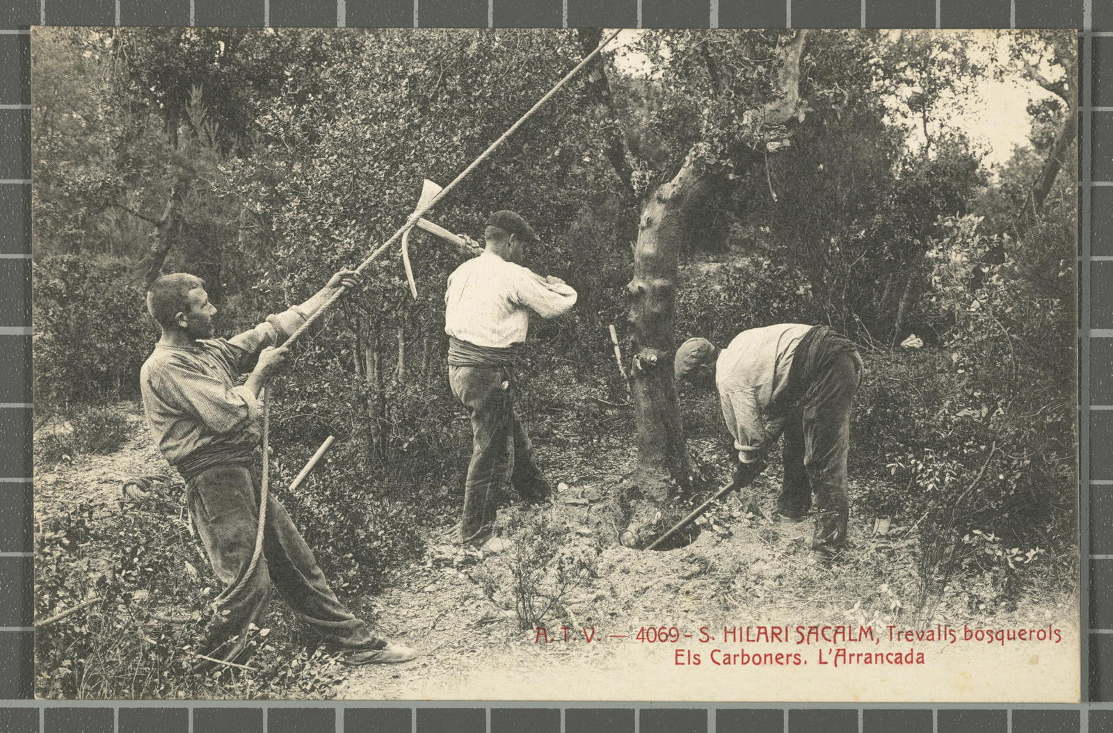 Josep Ximeno Planas, A.T.V. - 4069 . S. Hilari Sacalm. Trevalls bosquerols. Els Carboners. L'Arrancada